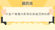 大客户销售代表项目经验范例列表