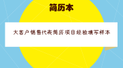 大客户销售代表简历项目经验填写样本