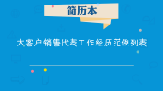 大客户销售代表工作经历范例列表