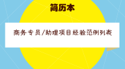 商务专员/助理项目经验范例列表