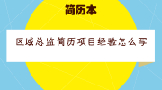 区域总监简历项目经验怎么写