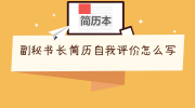 副秘书长简历自我评价怎么写