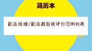 副总经理/副总裁自我评价范例列表