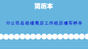 分公司总经理简历工作经历填写样本