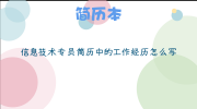 信息技术专员简历中的工作经历怎么写