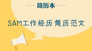SAM工作经历简历范文