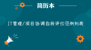 IT管理/项目协调自我评价范例列表