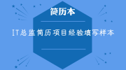 IT总监简历项目经验填写样本