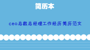 ceo总裁总经理工作经历简历范文