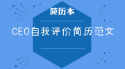 CEO自我评价简历范文