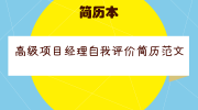 高级项目经理自我评价简历范文