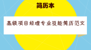 高级项目经理专业技能简历范文