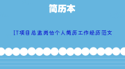 IT项目总监岗位个人简历工作经历范文