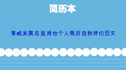 策略发展总监岗位个人简历自我评价范文