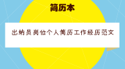 出纳员岗位个人简历工作经历范文