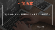 技术支持/维护工程师岗位个人简历工作经历范文
