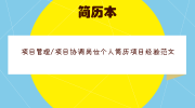 项目管理/项目协调岗位个人简历项目经验范文