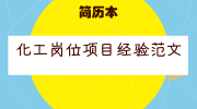 化工岗位项目经验范文