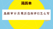 高级审计员简历自我评价怎么写