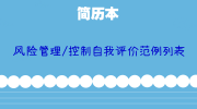 风险管理/控制自我评价范例列表