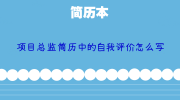 项目总监简历中的自我评价怎么写