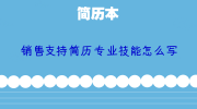 销售支持简历专业技能怎么写