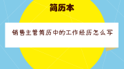 销售主管简历中的工作经历怎么写