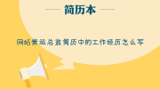 网站营运总监简历中的工作经历怎么写