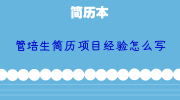 管培生简历项目经验怎么写