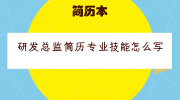 研发总监简历专业技能怎么写