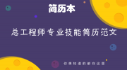 总工程师专业技能简历范文