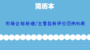 市场企划经理/主管自我评价范例列表