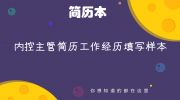 内控主管简历工作经历填写样本