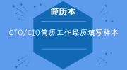 CTO/CIO简历工作经历填写样本