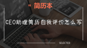 CEO助理简历自我评价怎么写