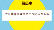 大区销售经理岗位工作经历怎么写