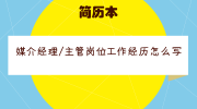 媒介经理/主管岗位工作经历怎么写