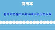 首席财务官CFO岗位项目经历怎么写