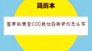 首席运营官COO岗位自我评价怎么写