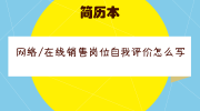 网络/在线销售岗位自我评价怎么写