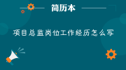 项目总监岗位工作经历怎么写