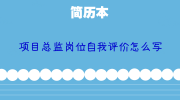 项目总监岗位自我评价怎么写