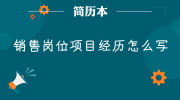 销售岗位项目经历怎么写