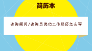 咨询顾问/咨询员岗位工作经历怎么写