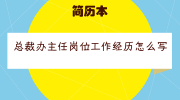 总裁办主任岗位工作经历怎么写