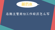 总账主管岗位工作经历怎么写