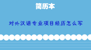 对外汉语专业项目经历怎么写
