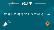 计算机应用专业工作经历怎么写