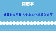 计算机应用技术专业工作经历怎么写