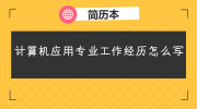 计算机应用专业工作经历填写范文